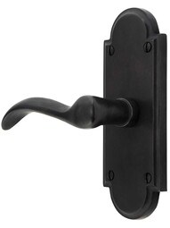 Solid Bronze Arched-Plate Door Set with Churchill Levers.